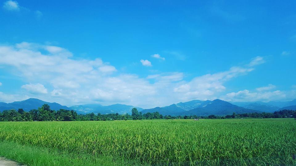 Ton Lang Homestay Pua Exterior photo