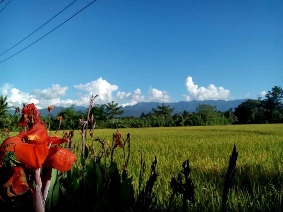 Ton Lang Homestay Pua Exterior photo