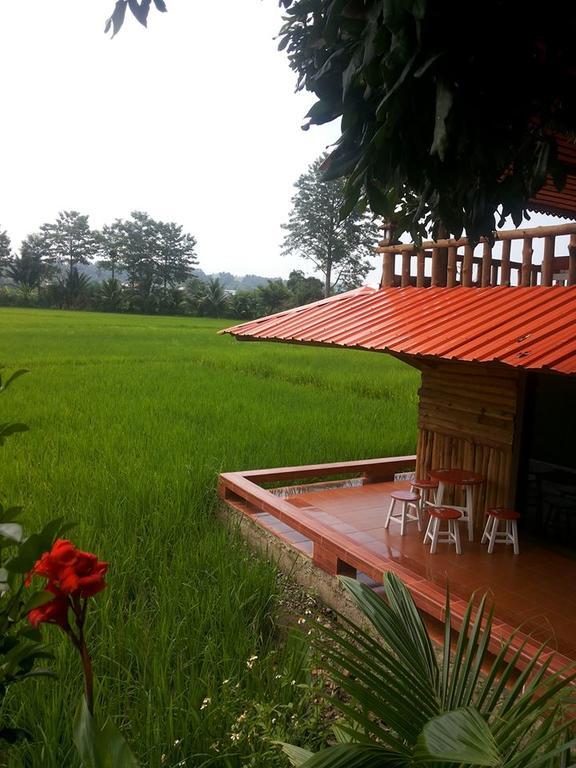 Ton Lang Homestay Pua Exterior photo