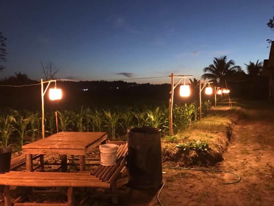 Ton Lang Homestay Pua Exterior photo